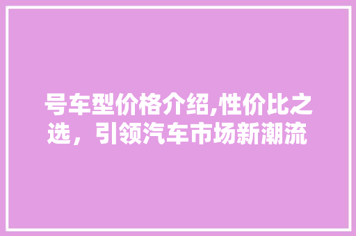 号车型价格介绍,性价比之选，引领汽车市场新潮流