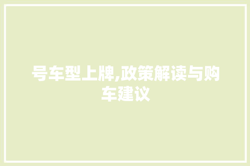 号车型上牌,政策解读与购车建议