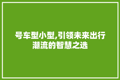 号车型小型,引领未来出行潮流的智慧之选