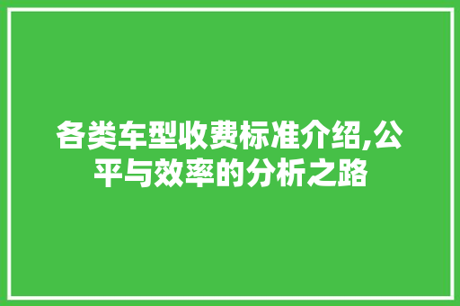 各类车型收费标准介绍,公平与效率的分析之路