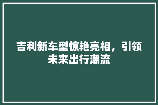 吉利新车型惊艳亮相，引领未来出行潮流