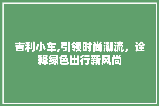 吉利小车,引领时尚潮流，诠释绿色出行新风尚