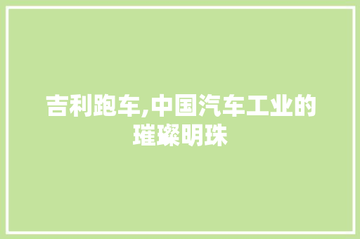 吉利跑车,中国汽车工业的璀璨明珠