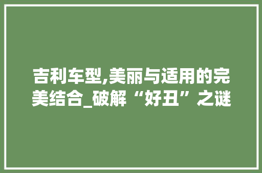 吉利车型,美丽与适用的完美结合_破解“好丑”之谜