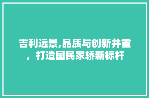 吉利远景,品质与创新并重，打造国民家轿新标杆