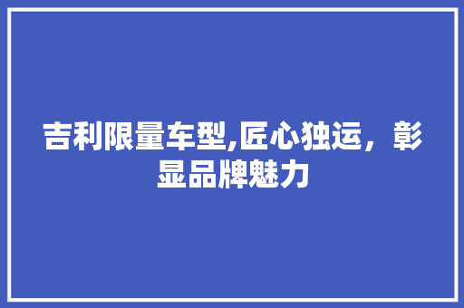 吉利限量车型,匠心独运，彰显品牌魅力