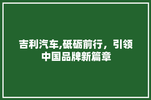 吉利汽车,砥砺前行，引领中国品牌新篇章