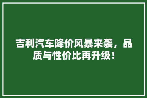 吉利汽车降价风暴来袭，品质与性价比再升级！ 车灯配件