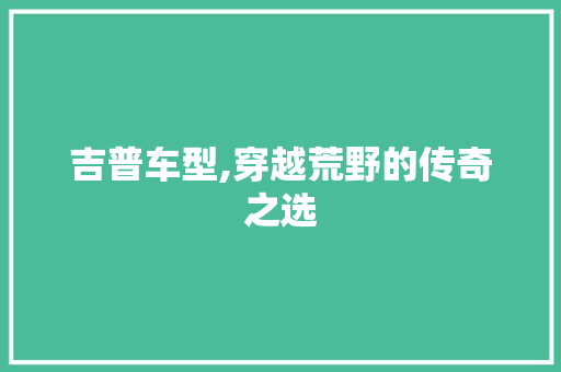吉普车型,穿越荒野的传奇之选