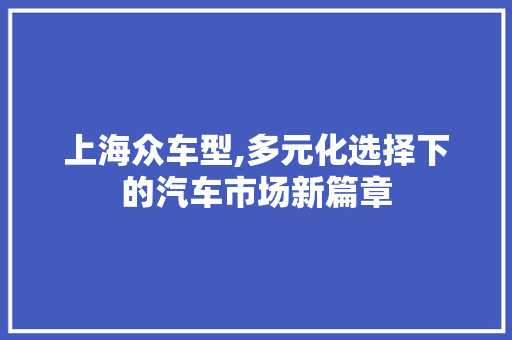 上海众车型,多元化选择下的汽车市场新篇章 底盘配件