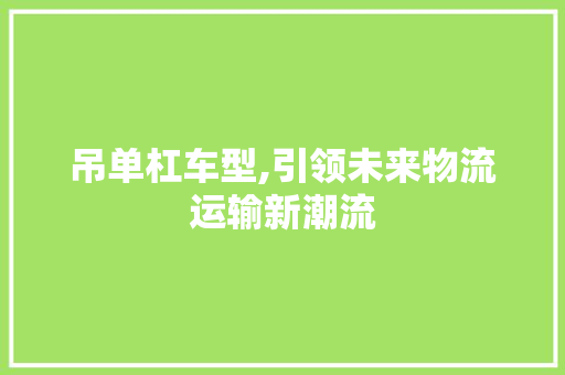 吊单杠车型,引领未来物流运输新潮流