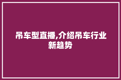 吊车型直播,介绍吊车行业新趋势