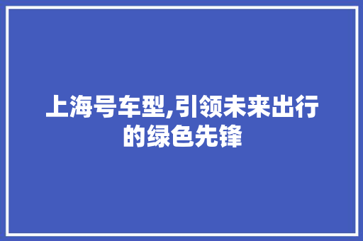 上海号车型,引领未来出行的绿色先锋