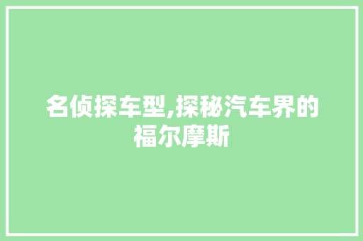 名侦探车型,探秘汽车界的福尔摩斯
