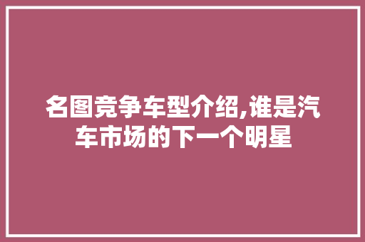 名图竞争车型介绍,谁是汽车市场的下一个明星