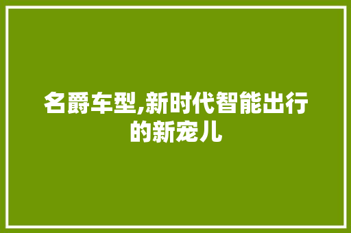 名爵车型,新时代智能出行的新宠儿