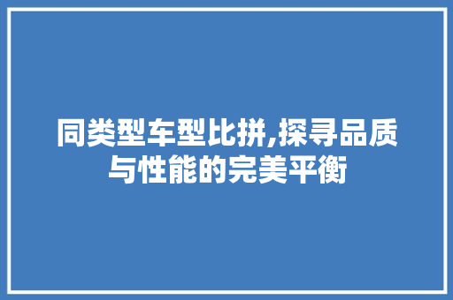 同类型车型比拼,探寻品质与性能的完美平衡