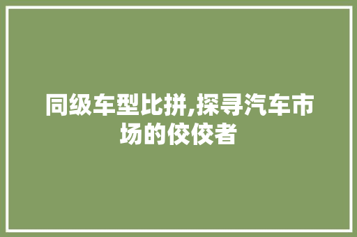 同级车型比拼,探寻汽车市场的佼佼者