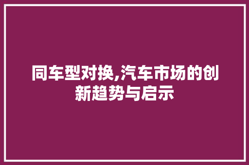 同车型对换,汽车市场的创新趋势与启示