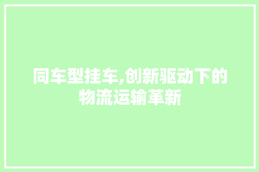 同车型挂车,创新驱动下的物流运输革新