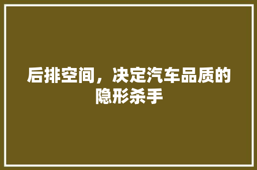 后排空间，决定汽车品质的隐形杀手