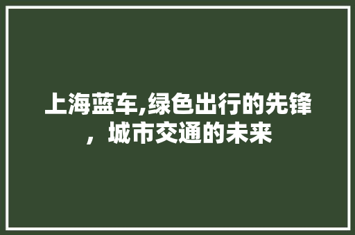 上海蓝车,绿色出行的先锋，城市交通的未来