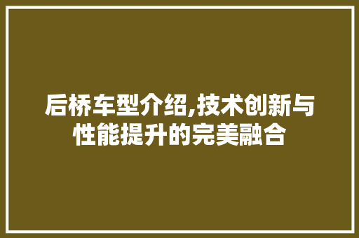 后桥车型介绍,技术创新与性能提升的完美融合