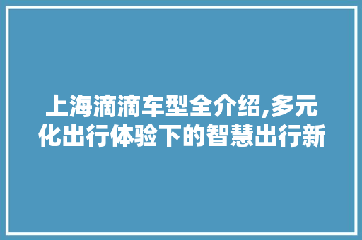 上海滴滴车型全介绍,多元化出行体验下的智慧出行新风尚