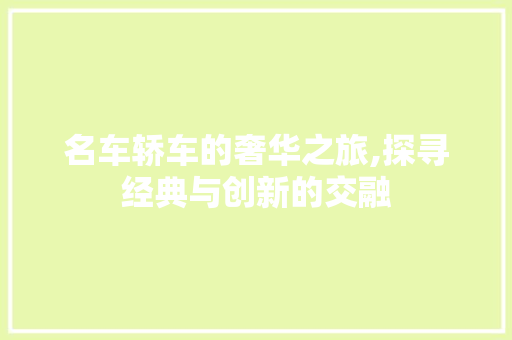 名车轿车的奢华之旅,探寻经典与创新的交融