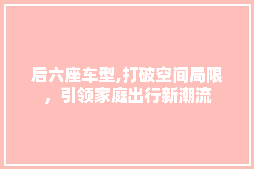 后六座车型,打破空间局限，引领家庭出行新潮流