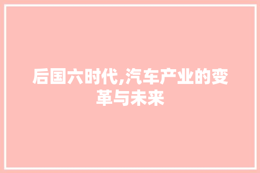 后国六时代,汽车产业的变革与未来