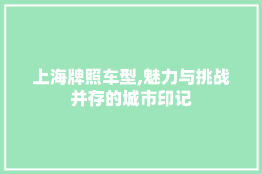 上海牌照车型,魅力与挑战并存的城市印记
