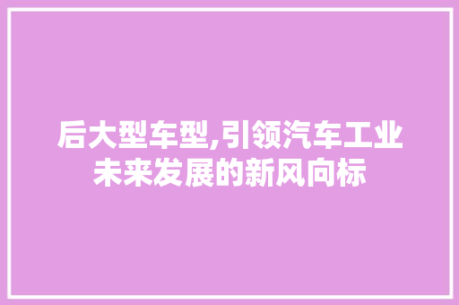后大型车型,引领汽车工业未来发展的新风向标