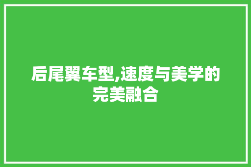 后尾翼车型,速度与美学的完美融合