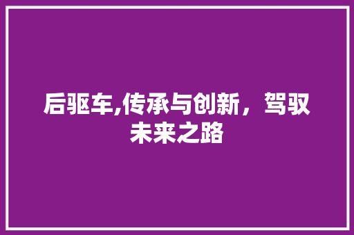 后驱车,传承与创新，驾驭未来之路