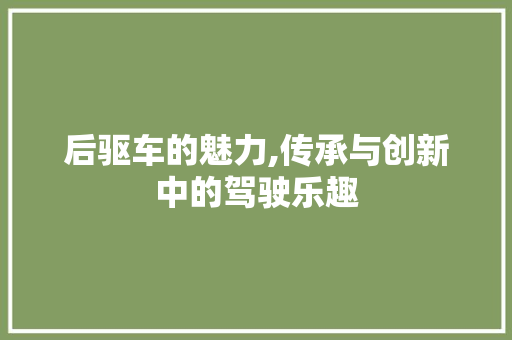 后驱车的魅力,传承与创新中的驾驶乐趣
