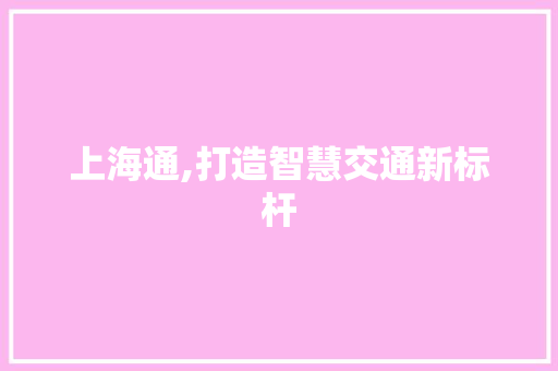 上海通,打造智慧交通新标杆