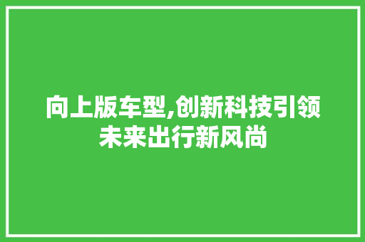 向上版车型,创新科技引领未来出行新风尚