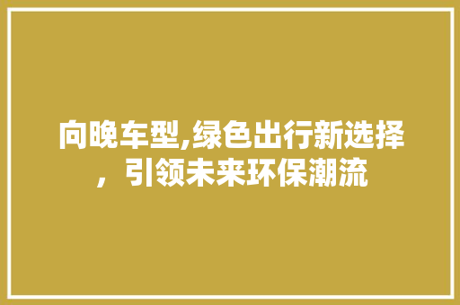 向晚车型,绿色出行新选择，引领未来环保潮流