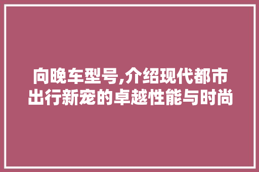 向晚车型号,介绍现代都市出行新宠的卓越性能与时尚魅力