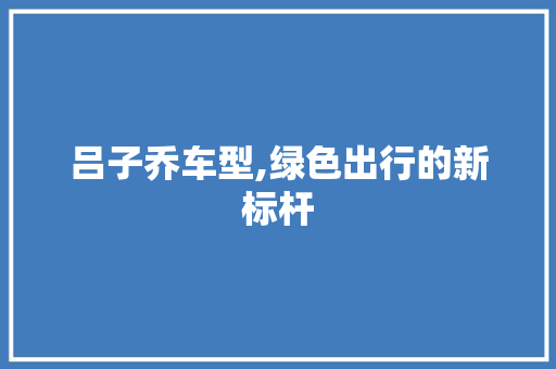 吕子乔车型,绿色出行的新标杆