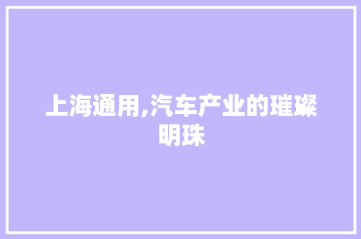 上海通用,汽车产业的璀璨明珠