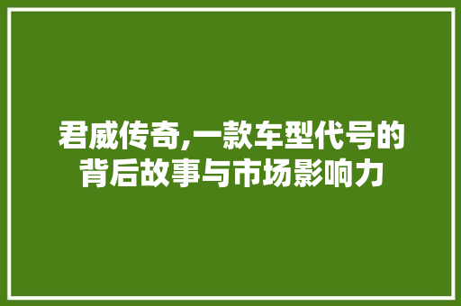 君威传奇,一款车型代号的背后故事与市场影响力