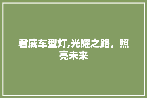 君威车型灯,光耀之路，照亮未来