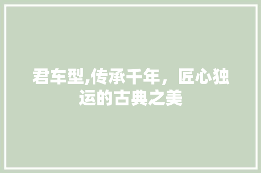 君车型,传承千年，匠心独运的古典之美 发动机配件