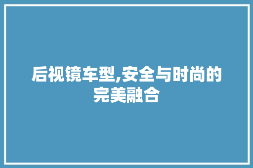 后视镜车型,安全与时尚的完美融合