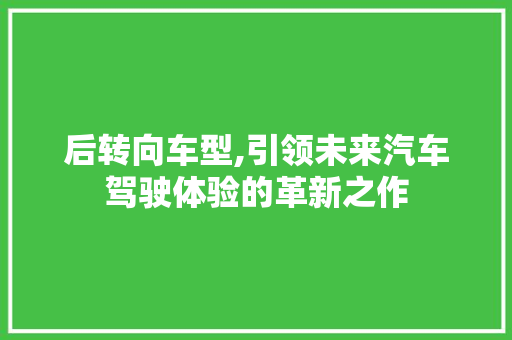 后转向车型,引领未来汽车驾驶体验的革新之作