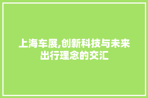 上海车展,创新科技与未来出行理念的交汇