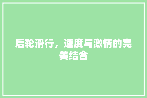 后轮滑行，速度与激情的完美结合