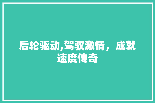 后轮驱动,驾驭激情，成就速度传奇